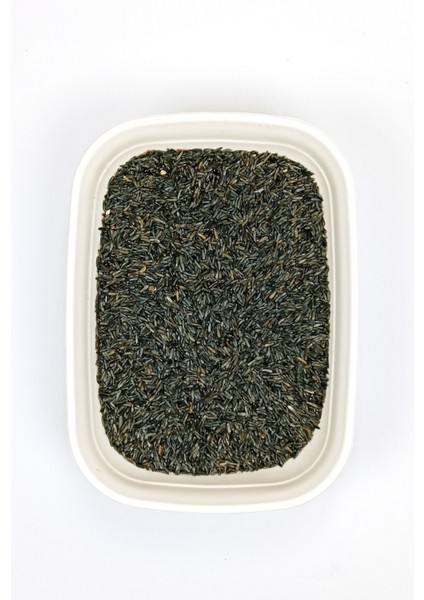 Nijer Tohumu Doğal Taze Takviye Kuş Yemi - 500 gr fiyatları