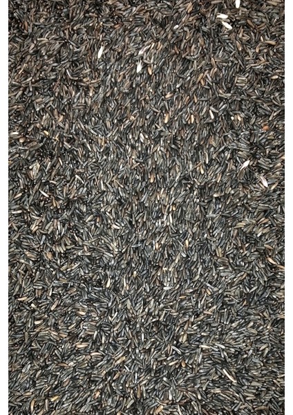 Nijer Tohumu Doğal Taze Takviye Kuş Yemi - 500 gr modelleri