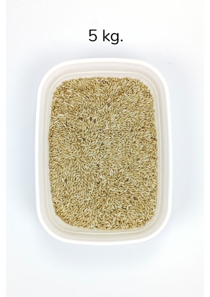 Doğal Taze Kanarya Sade Kuş Yemi - 5 kg