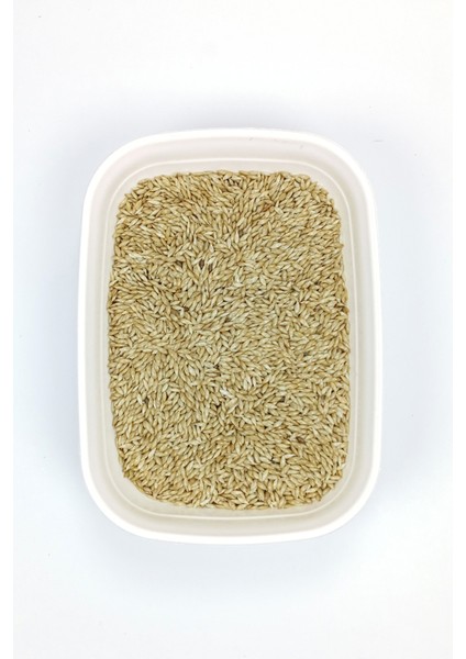 Doğal Taze Kanarya Sade Kuş Yemi - 5 kg fiyatları