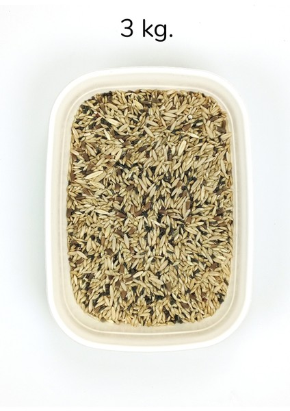 Kanarya Karışık Kuş Yemi Doğal Taze - 3 kg