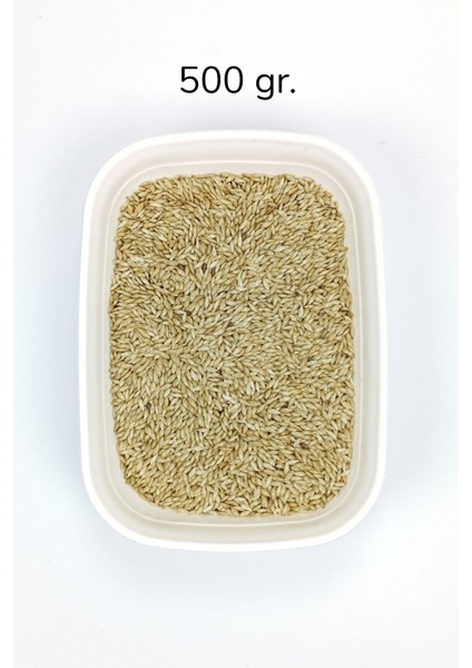 Doğal Taze Kanarya Sade Kuş Yemi - 500 gr
