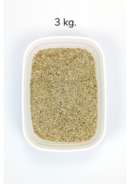 Doğal Taze Kanarya Sade Kuş Yemi - 3 kg