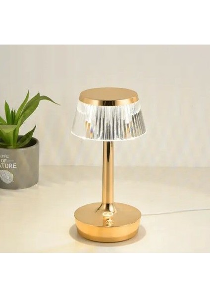 -CT-8434-RİO 3 Işik Renkli Şarjli Masa Lambasi Ynsmr modelleri