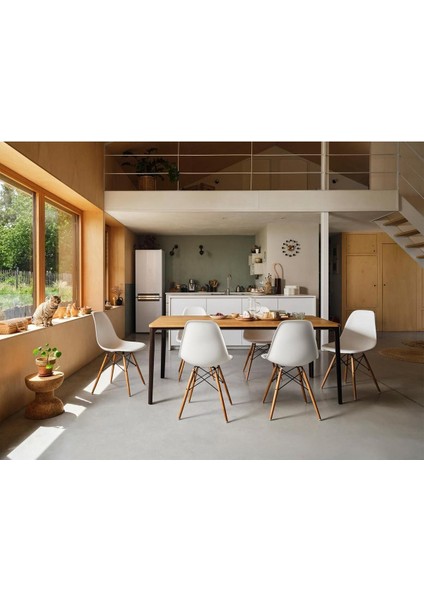 Eames Plastik Yan Sandalye, Charles & Ray Eames Ahşap Ayaklı Ikonik Tasarım modelleri