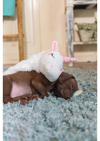 Yavru Köpek Oyuncağı, Unicorn, Peluş, Beyaz, 49X10X14CM Svlrs modelleri