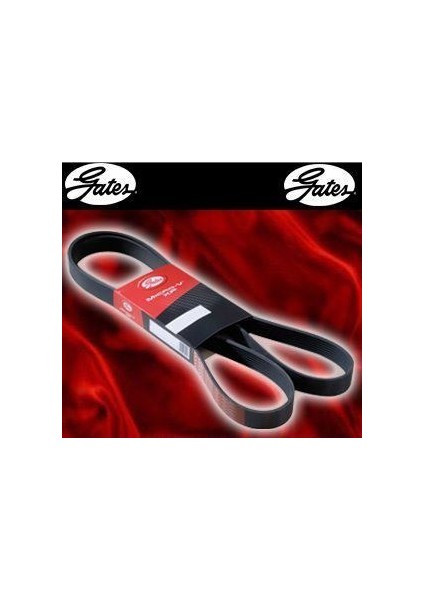 GATES-RDM1203K6 - Kanallı Kayıs 6PK1203 Roadmax Megane Iı Symbol Clıo Iı Clıo Iv Symbol Iı Laguan Iıı Kangoo Iı Kangoo Iıı Latıtude 1.5 K9K 1.4 16V K4J 1.6 16V K4M