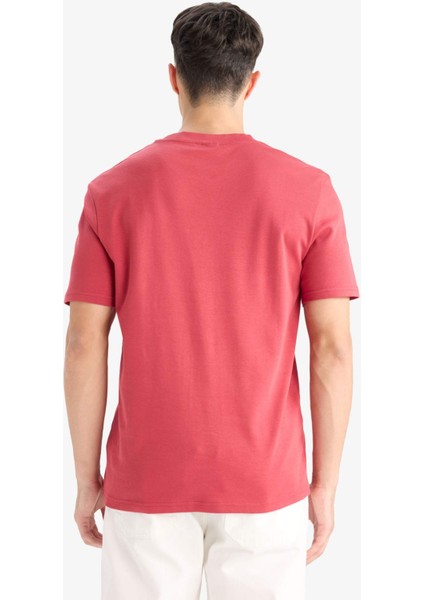 %100 Pamuk Regular Fit Bisiklet Yaka Basic Düz Kısa Kollu Tişört E7961AX25AU