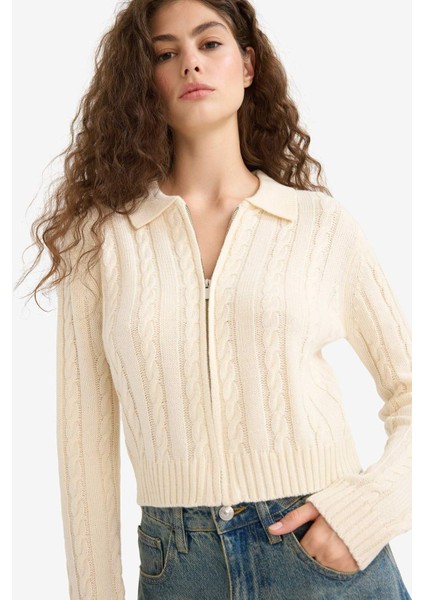 Regular Fit Polo Yaka Fermuarlı Triko Hırka A3331AX25WN