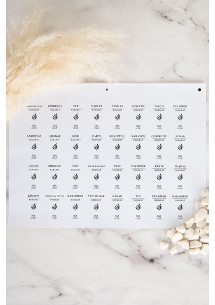 6'lı Cam Kavanoz Seti, Baharatlık ve Saklama Kabı, 500 Ml, Etiketli ve Şık Tasarım fırsatları