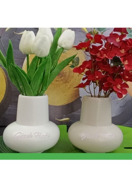 Gözdehobi Bohem Dekoratif Minimalist Kuru Çiçek Vazo Seti Hediyelik Çeyizlik 2ADET Bej&beyaz