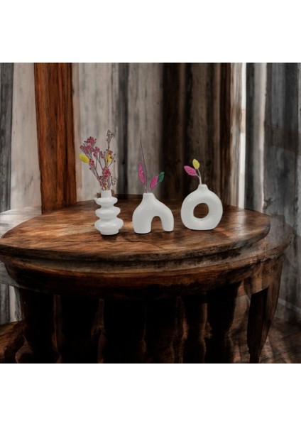 Gözdehobi Nordic Essence Craft Set | Dekoratif Minimal Kuru Çiçek Ev Dekorasyon Biblo Vazo Hediyelik fırsatları