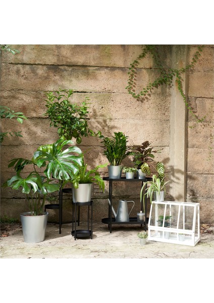 Akerbar Mini Sera Beyaz 45X22X35 cm Dekoratif Bitki Yetiştirme Serası Balkon Bahçe Ev Içi Şık Hobi Serası.com.tr