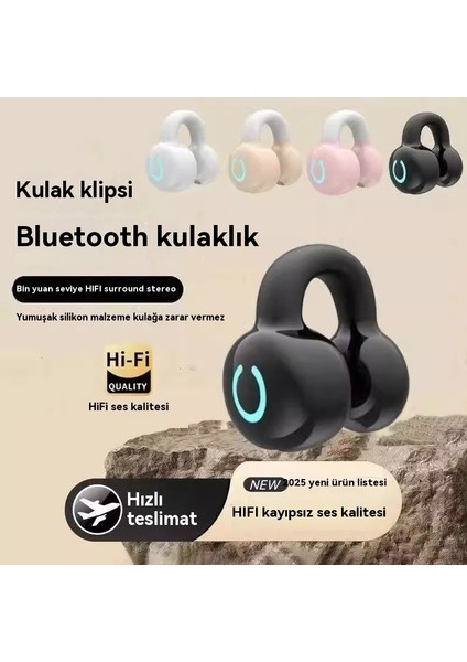 Berlin Sesi Kablosuz Bluetooth Kulaklık Spor Klip Kulak Müzik Kulaklık (Yurt Dışından) fırsatları