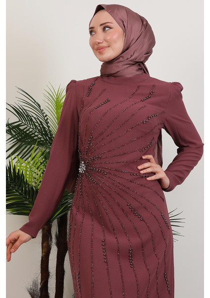 Elçin Taşlı Elbise Gül Kurusu indirimleri