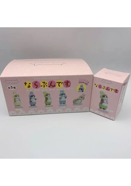 Otantik Kedi Blessing Köpekbalığı Hayvan Çapraz Pansuman Serisi Kutu Oyuncaklar Çocuk Hediye Toplama Modelleri Sevimli Mini Dekorasyonlar: 5 Pcs 1set (Yurt Dışından)