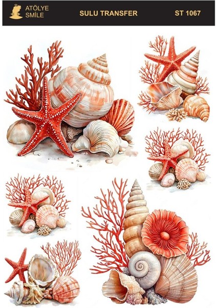 ST1067 Açık Zemin Sulu Transfer 25*35 cm