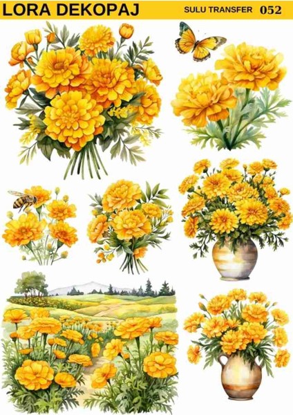 052 Açık Zemin Sulu Transfer 25*35 cm