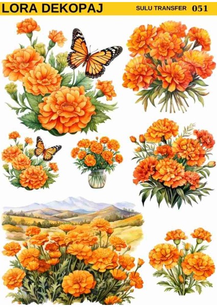 051 Açık Zemin Sulu Transfer 25*35 cm