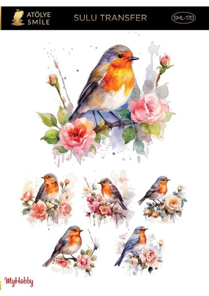 SML170 Açık Zemin Sulu Transfer 25*35 cm