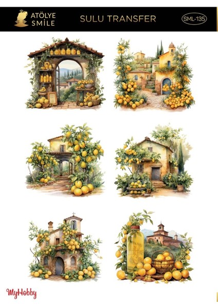 SML135 Açık Zemin Sulu Transfer 25*35 cm