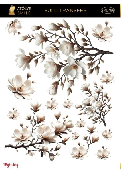 SML196 Açık Zemin Sulu Transfer 25*35 cm