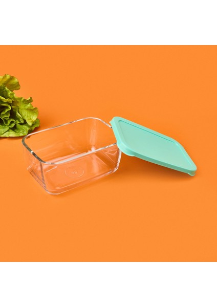 Snow Box Saklama Kabı - Şeffaf / Yeşil - 790 ml modelleri