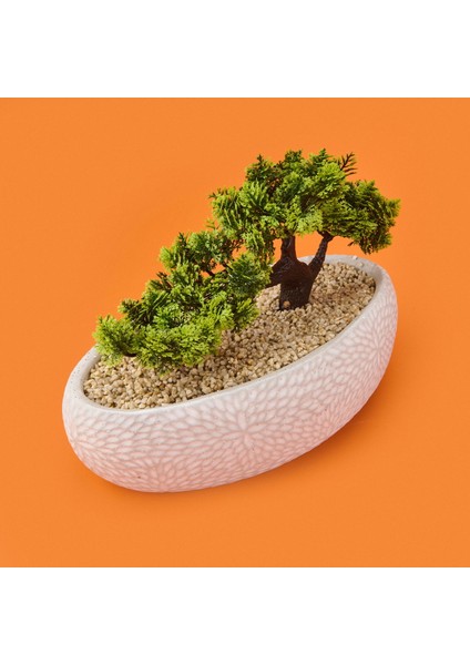 Desenli Elips Saksıda Bonsai - Renkli - 24X33 cm fiyatları