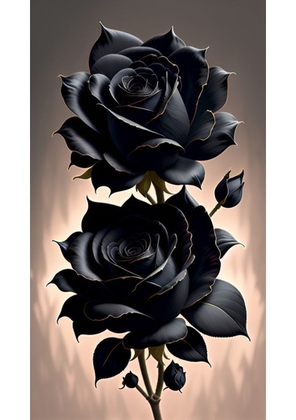 3 Lü Siyah Gül Kanvas Tablo Set Ev Duvar Salon Ofis Dükkan Hediyelik Dekarasyon Süsü fırsatları