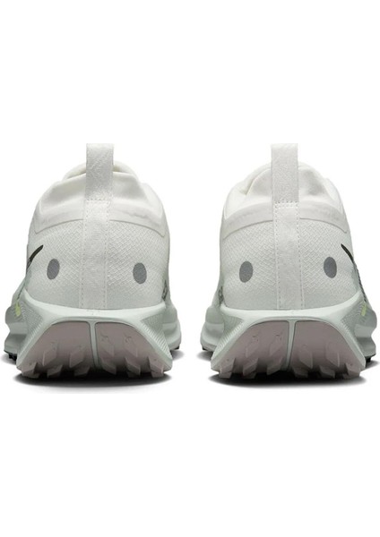Pegasus Traıl 5 Gtx Erkek Koşu Ayakkabısı FQ0908-102 indirimleri
