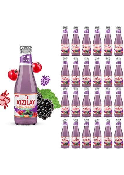 Maden Suyu Doğal Karadut Frenk Üzümü Aromalı 200 ml x 24 Adet