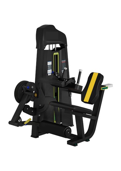 TB25 - Seated Leg Curl & Leg Extension Combo