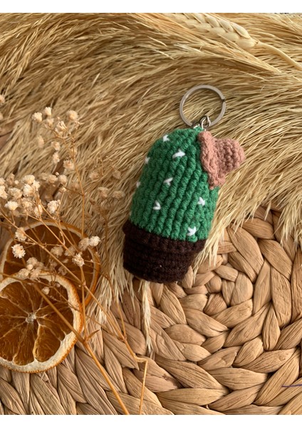 Örgü Kaktüs Anahtarlık / Çanta Süsü modelleri