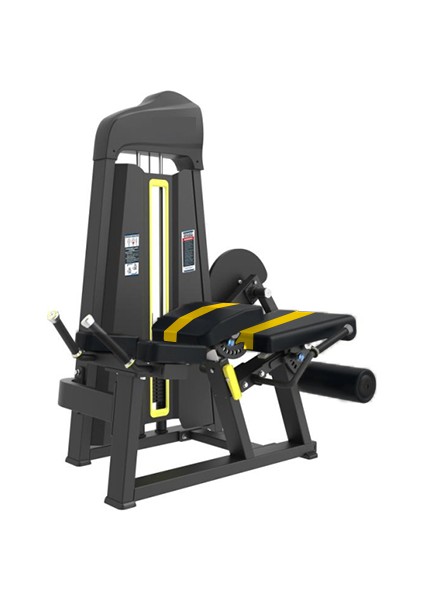 TB91 - Prone Leg Curl & Leg Extension Combo