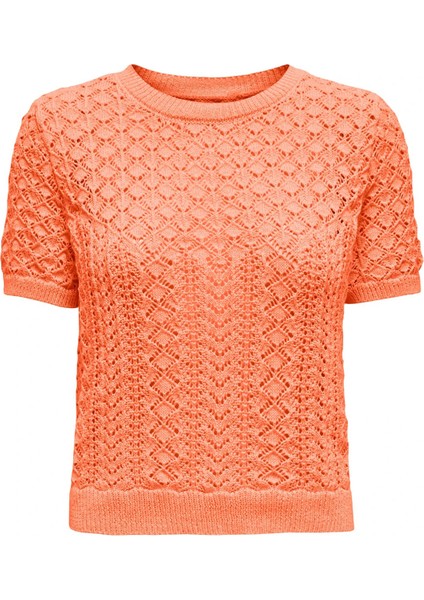 Onlsaga Pamuklu Regular Fit Bisiklet Yaka Örme Bluz Bayan Bluz 15339662