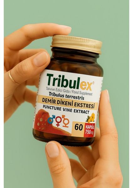 Tribulex 750 mg Kapsül( tribulus terrestris)