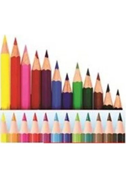 12'li Uzun Kuru Boya fırsatları