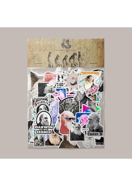 Charles Darwin Sticker Paketi -Bullet Journal - Ajanda - Planner - Defter - Laptop Etiket Çıkartma Çok Renkli 10 x 15 Paket Boyutu 3 x 5 cm Stickerlar Paket Içeriği 25 Adet Dadi Ramba Sticker