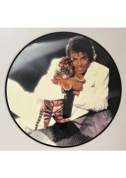 Michael Jackson Thriller Picture Lp Plak (2018 Avrupa Baskı Plak) fiyatları