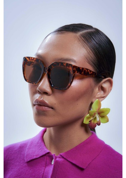 Wilmer Leopard Brown Güneş Gözlüğü modelleri