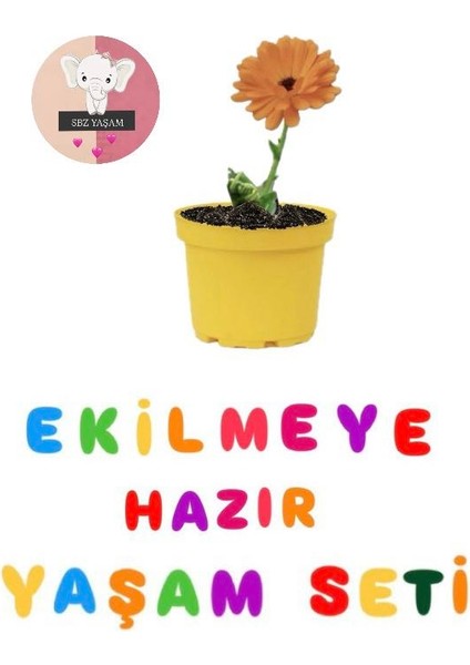 Ekilmeye Hazır Yaşam Seti