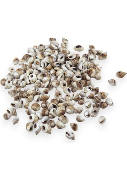 14 mm Kahverengi Desen Deniz Kabuğu Boncuk (77 Adet)
