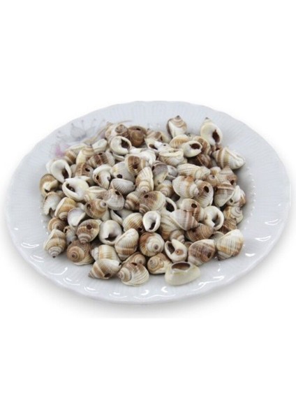 14 mm Kahverengi Desen Deniz Kabuğu Boncuk (77 Adet) fiyatları