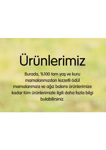 Rodeo Yetişkin Sığır Etli 7'li 123 gr fiyatları