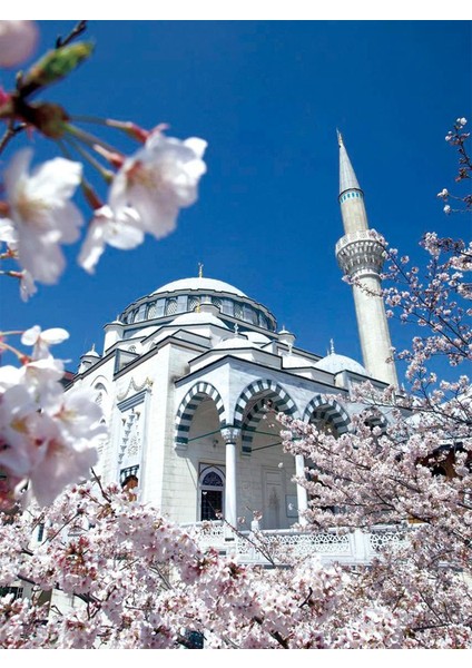 Ilkbahar Cami Kanvas Tablo Ev Duvar Salon Oda Mutfak Hol Hediyelik Dekarasyon Süsü Ölçü Seçiniz fiyatları