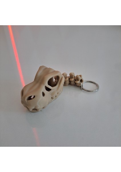 T-Rex Kafatası Anahtarlık fırsatları