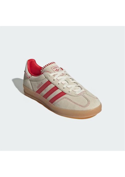 Gazelle Indoor W fırsatları