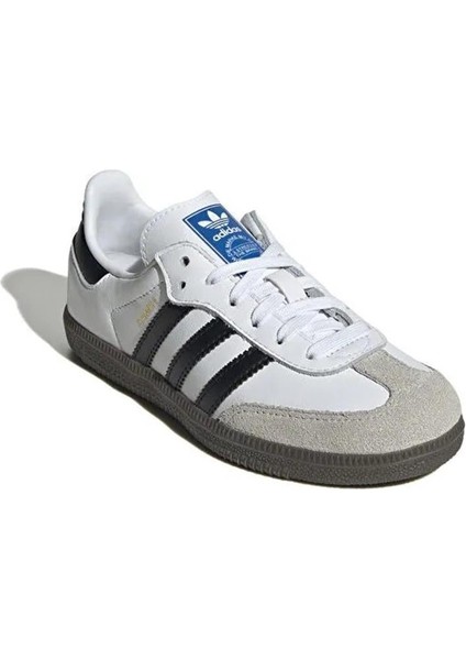 Samba Og C modelleri