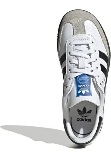 Samba Og C fırsatları