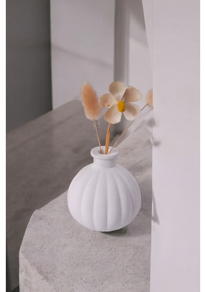 Mini Biblo Vazo Tombul Tasarım | Modern Tarz